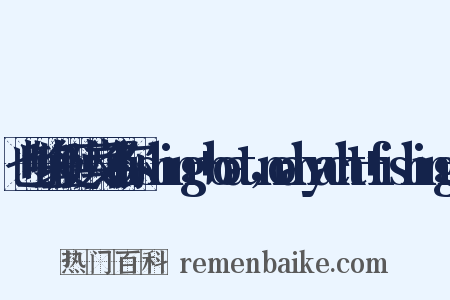 也叫钓鱼艇，英文名称fishing+boat，noahyacht+fishing+是什么意思的图片